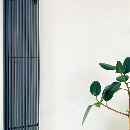 Luxury At Center At Palace +netflix! Varşova